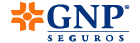 GNP